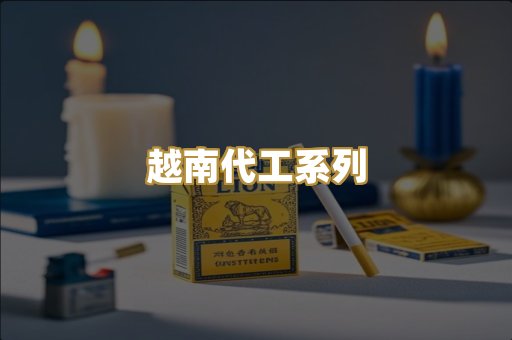 越南代工系列
