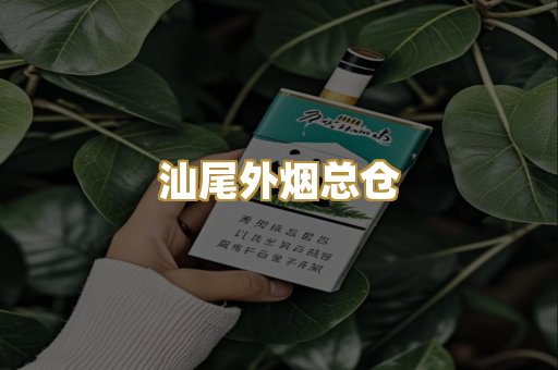汕尾外烟总仓